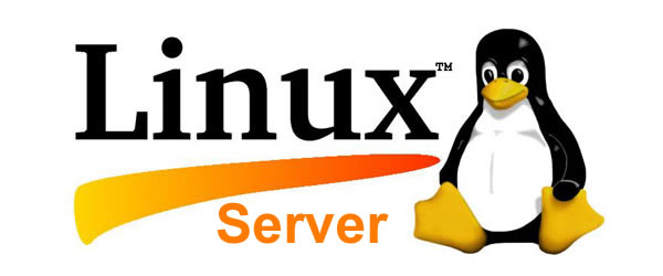 سرور لینوکس , لینوکس سرور